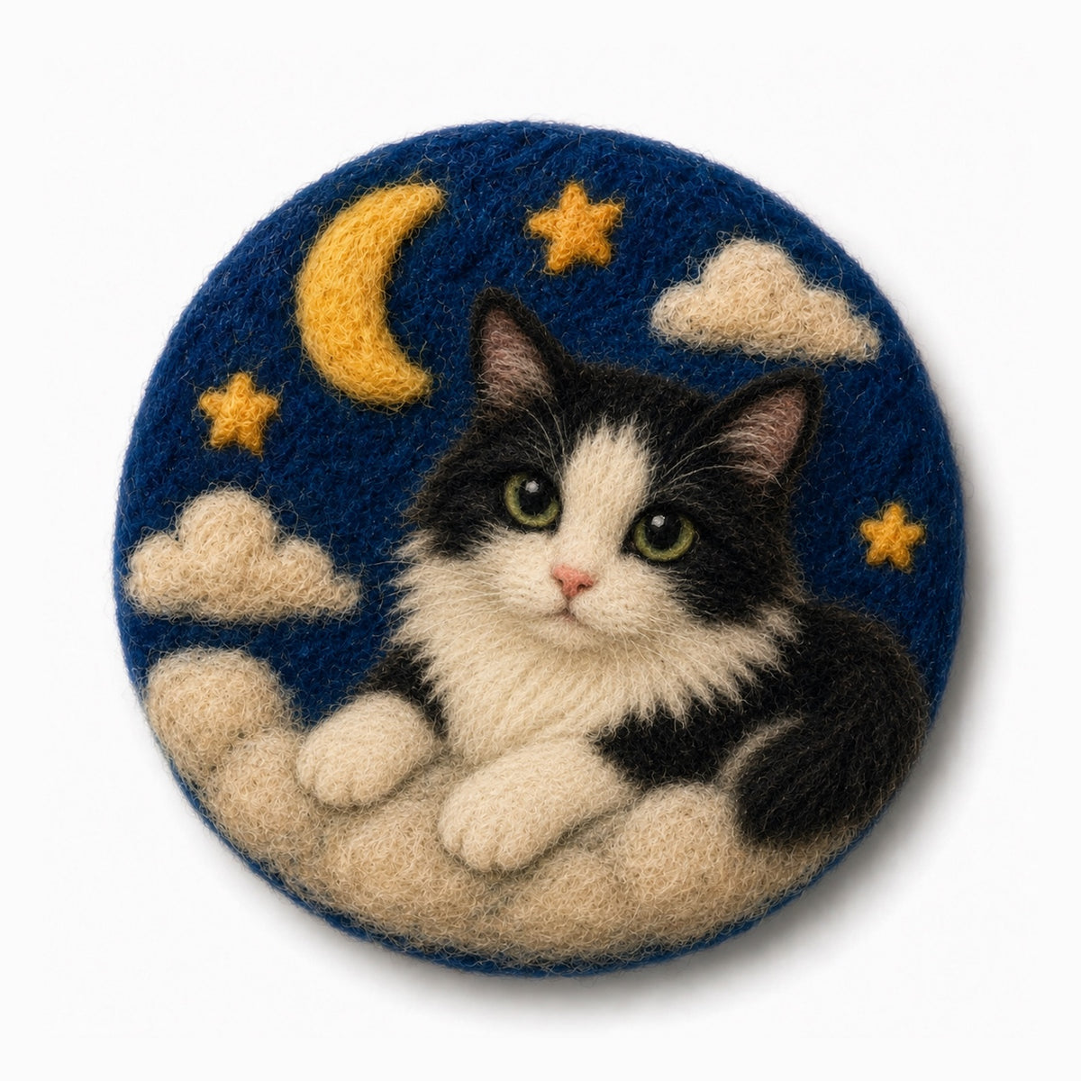 Custom Pet Wool Felt Fridge Magnet