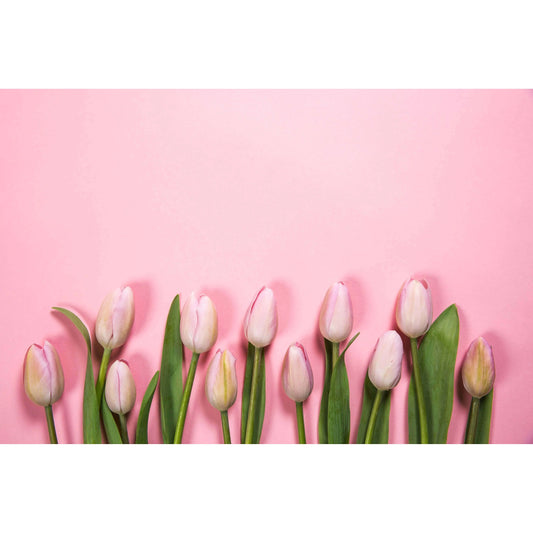 Pink Spring Flowers